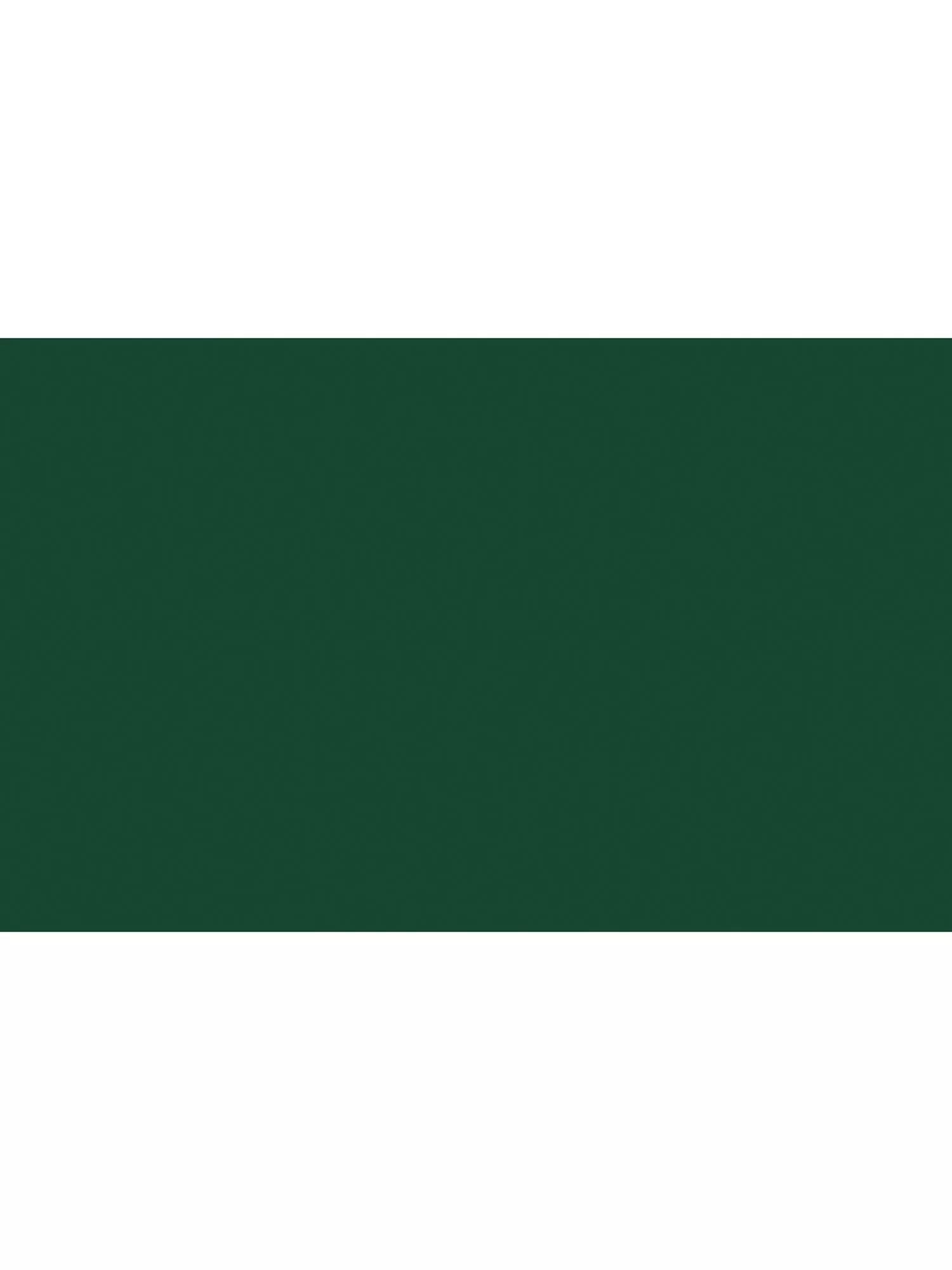The Little Greene Paint Company Intelligent Eggshell Strong Greens Paint 1000ml