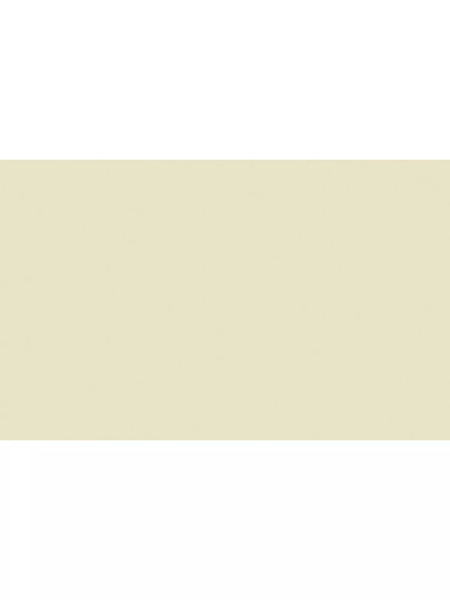 The Little Greene Paint Company Absolute Matt Emulsion Whites & Warm Whites Tester Pot