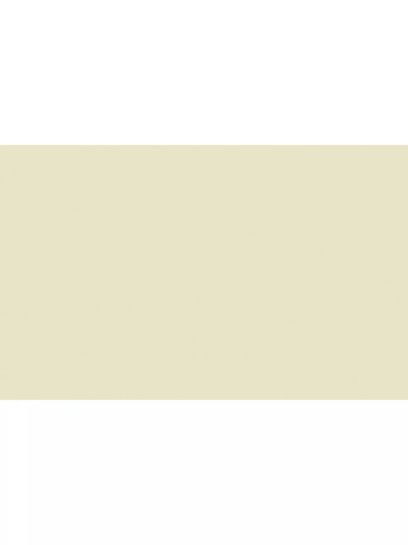 The Little Greene Paint Company Absolute Matt Emulsion Whites & Warm Whites Tester Pot