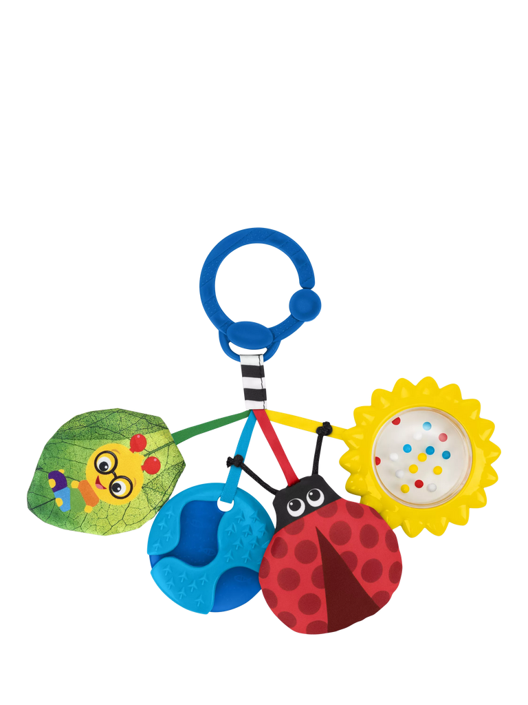 Baby Einstein Touch of Nature Sensory Toy