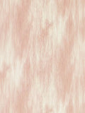 Clarke & Clarke Serengeti wallpaper 10m x 52cm - British product