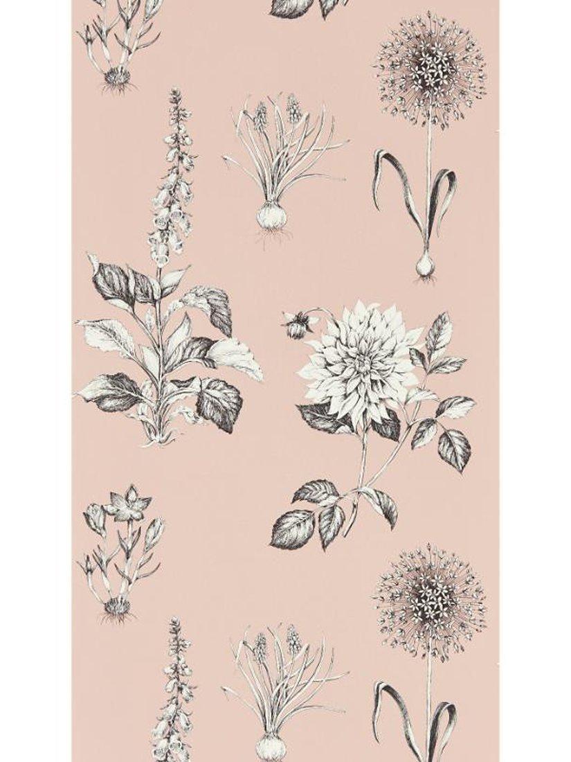 Clarke & Clarke Roseraie wallpaper 10m - British product