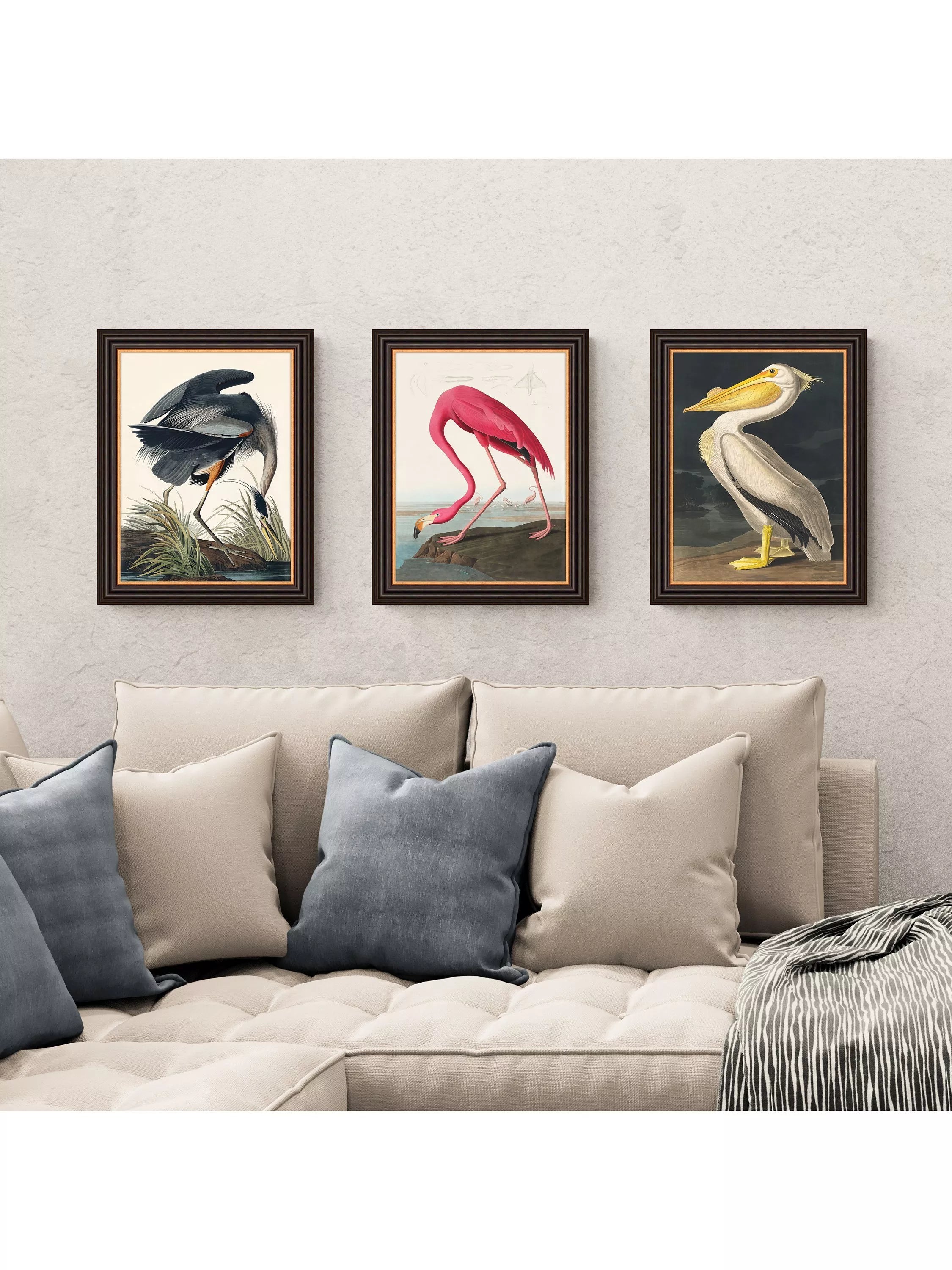 John Lewis Audubon birds framed print set 47x37cm - British product