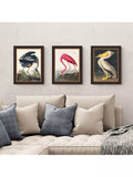 John Lewis Audubon birds framed print set 47x37cm - British product