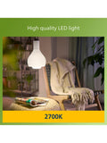 Philips LED bulbs warm white E27 pack of 2 (British brand)