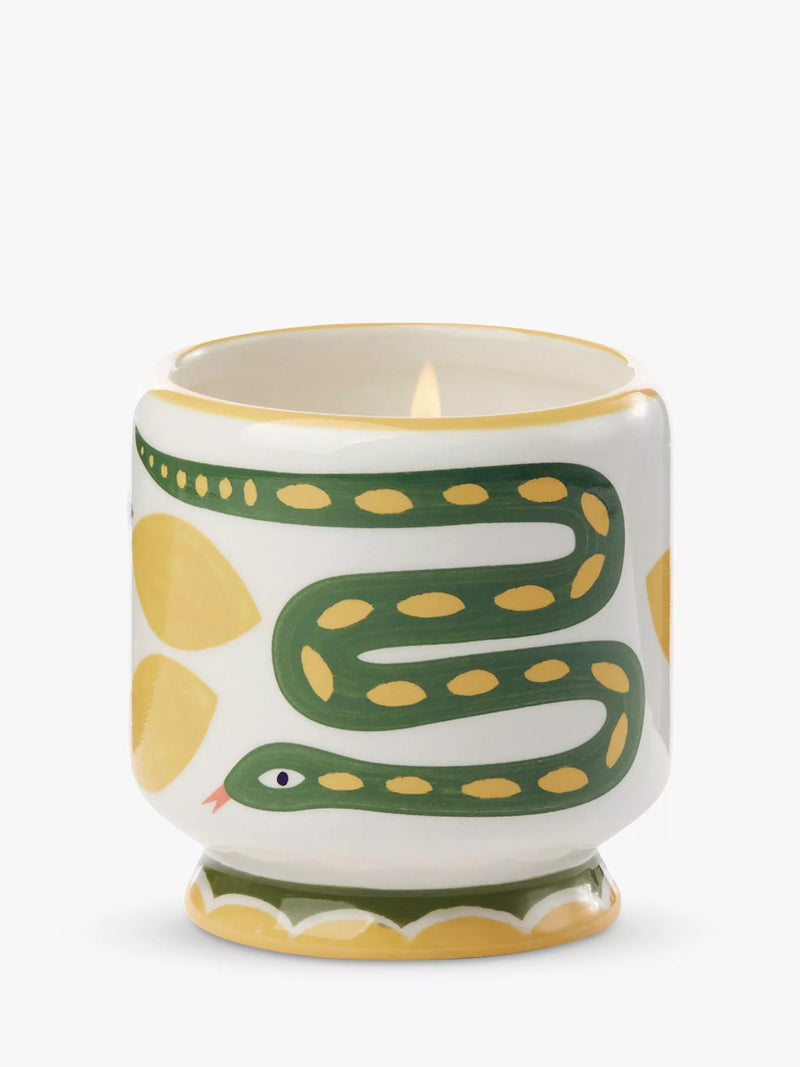Paddywax Wild Lemongrass scented candle 226g - British product
