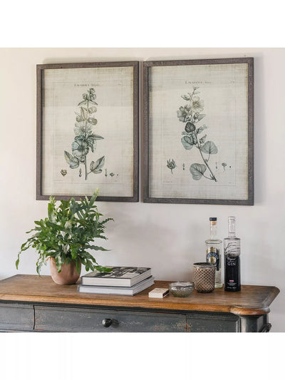 John Lewis One.World Brookby Lavatera إطار خشبي مطبوع، مجموعة من 2، 70 × 55 سم، رمادي