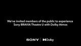 Sony Bravia Theatre U neckband speaker 268g, imported from the UK