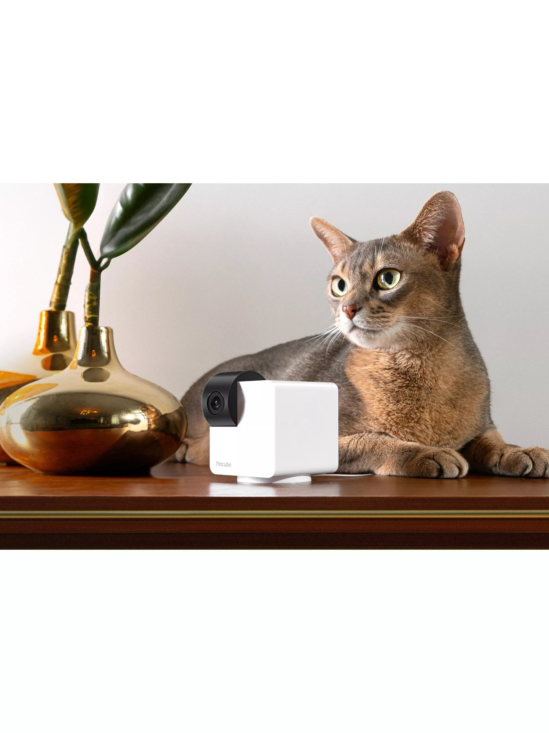 Petcube 360 white pet camera, UK version