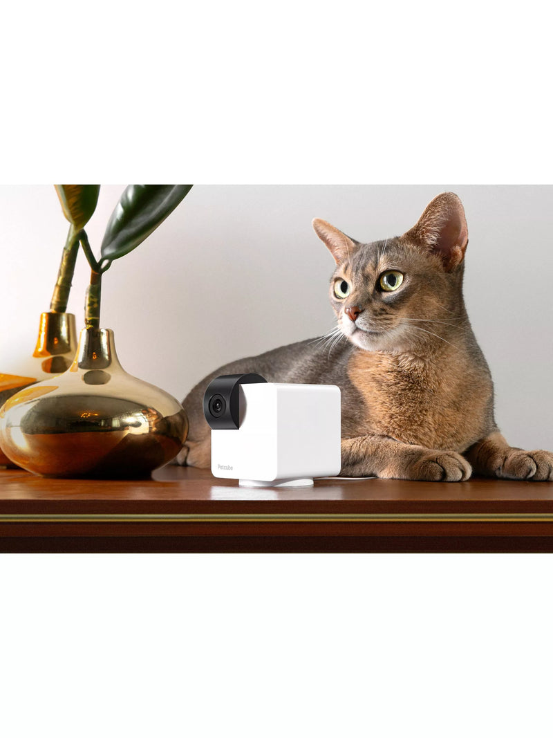 Petcube 360 white pet camera, UK version
