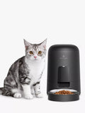 Petlibro Libro Air pet feeder Black, imported from the UK