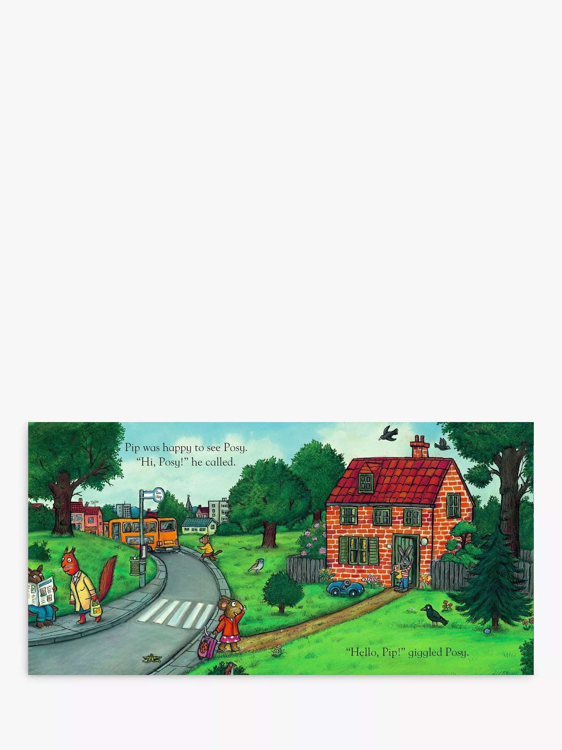 Nosy Crow Pip and Posy The Bedtime Frog children's book - British product