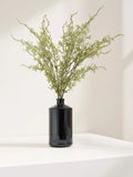 Truly Asparagus Fern, Bunch of 4