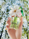 Marc Jacobs Daisy Wild Eau de Parfum 100ml - British product