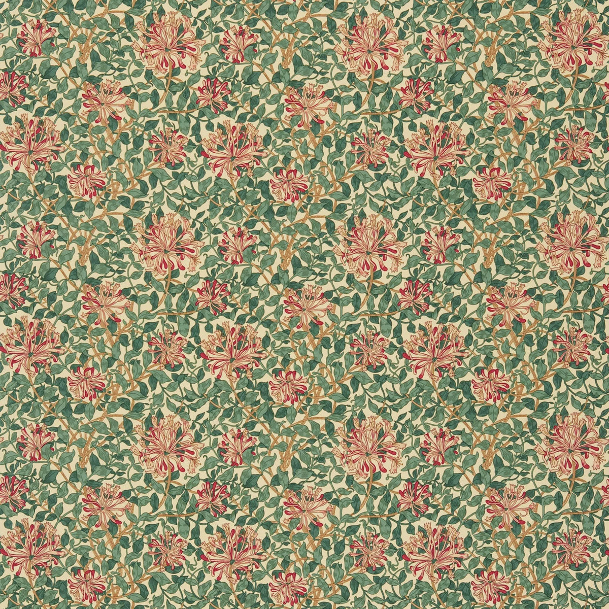 Morris & Co. Honeysuckle printed cotton curtain cream wine (British brand)