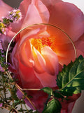 Lancôme Hot As Rose Eau de Parfum 100ml, UK version