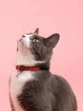 Mimi's Daughters cork cat collar Multi, UK version