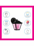 WiZ Smart LED Outdoor Wall Lamp 600 lumen - British product