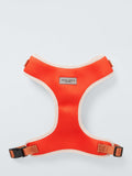 John Lewis adjustable no-pull dog harness in three sizes, UK version
