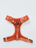 John Lewis adjustable no-pull dog harness in three sizes, UK version