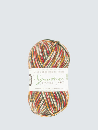 Fil à tricoter 4 fils West Yorkshire Spinners Signature Sparkle 100G - Yuletide 1208