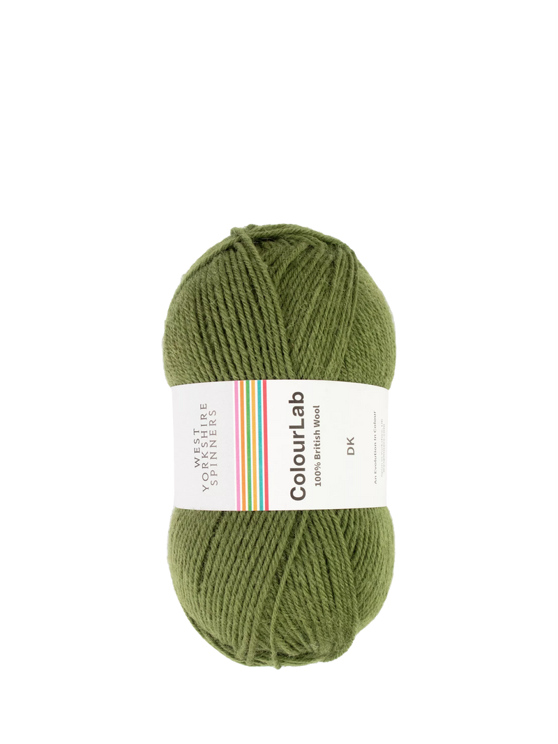 West Yorkshire Spinners ColourLab DK Knitting Yarn 100g