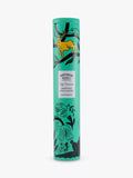 Shortbread House of Edinburgh handmade stem ginger shortbread biscuits 250g (British brand)