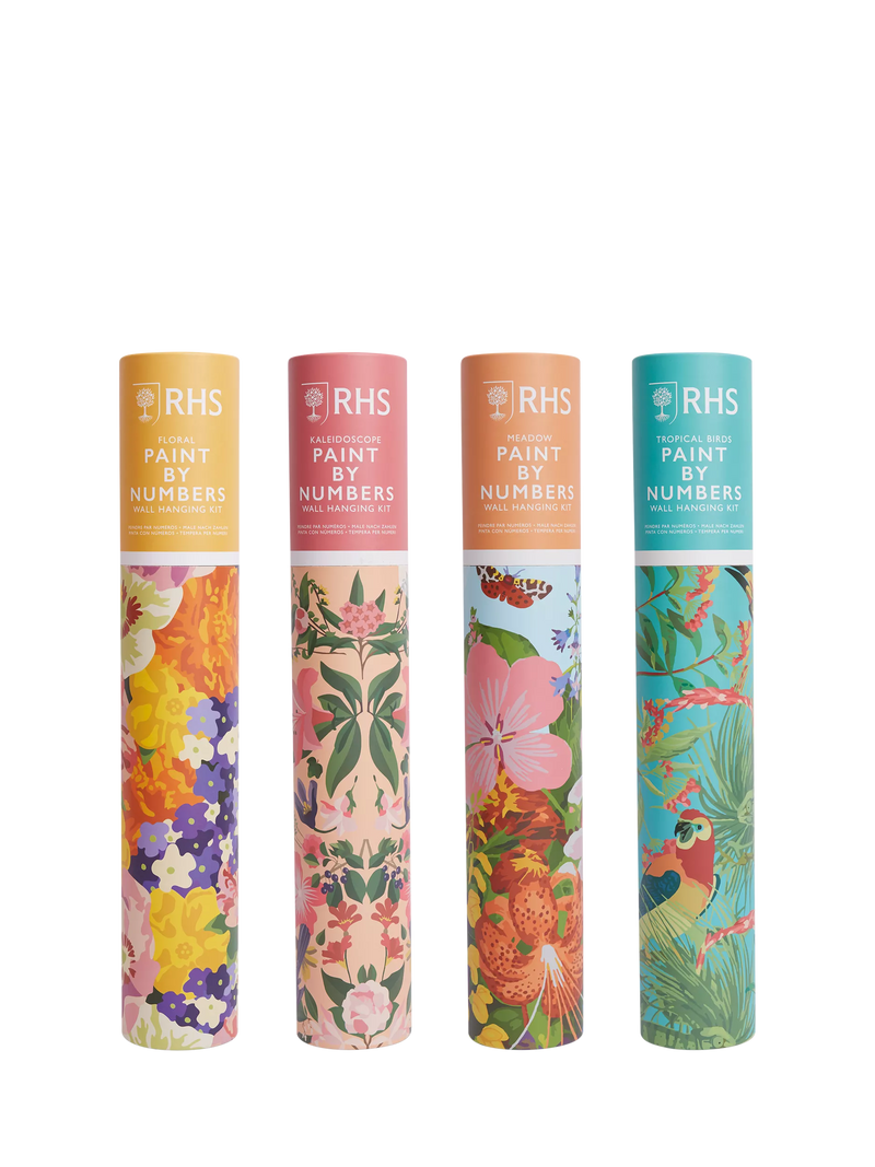 RHS paint by numbers kit floral kaleidoscope, UK version