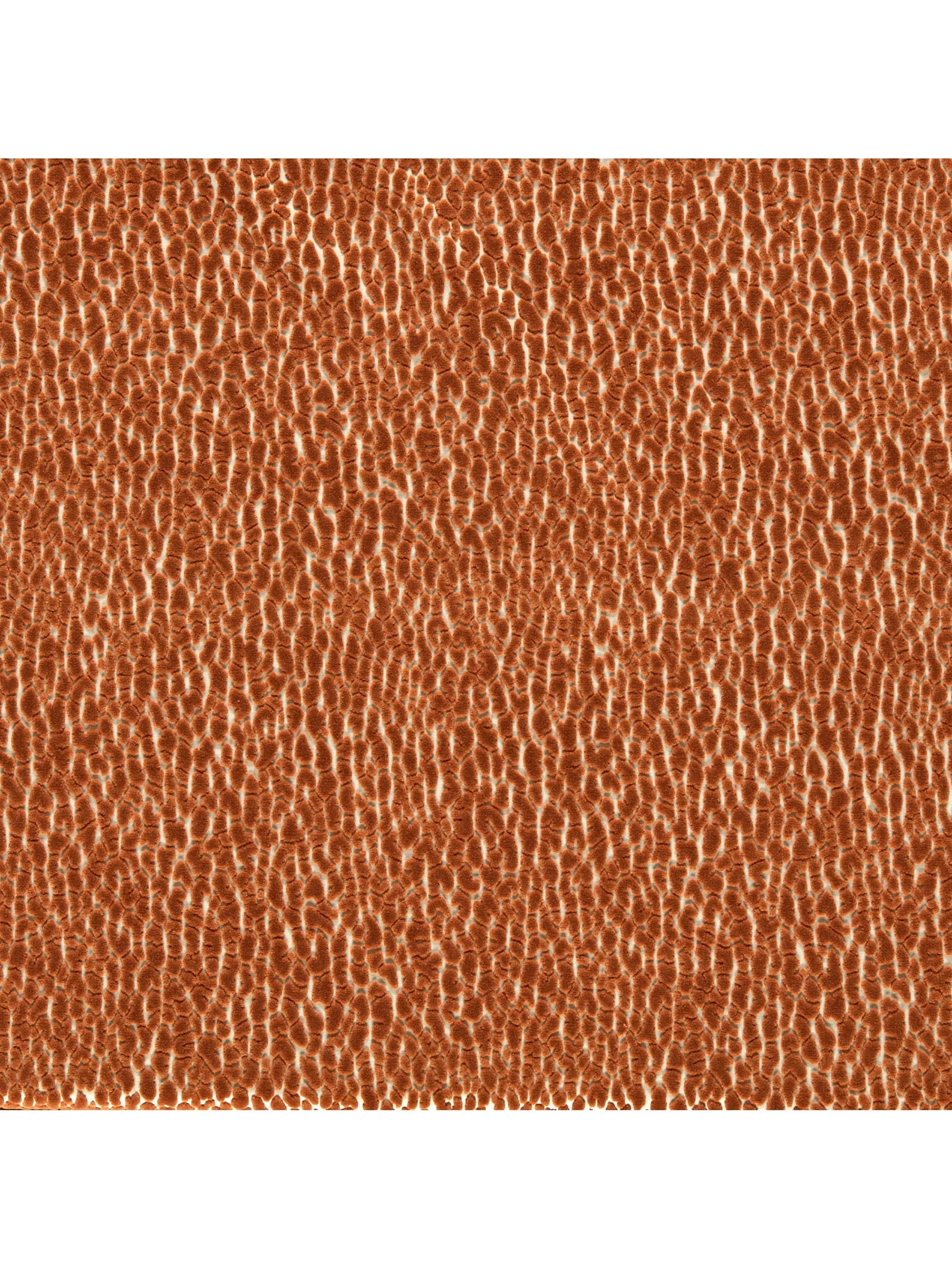 Tissu d'ameublement Harlequin Lacuna Velvet 140 cm, importé du Royaume-Uni