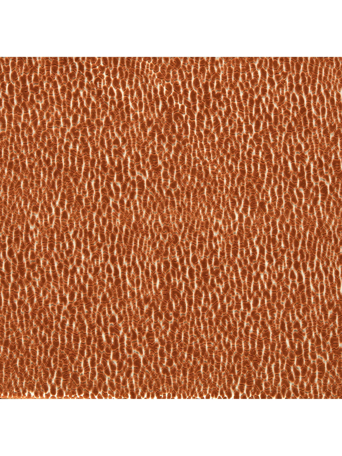Tissu d'ameublement Harlequin Lacuna Velvet 140 cm, importé du Royaume-Uni