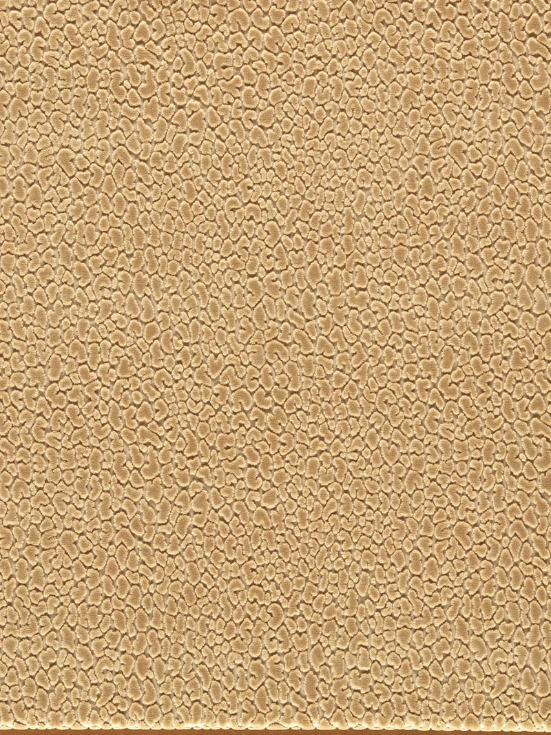 Harlequin Lacuna Velvet Furnishing Fabric 140cm Width