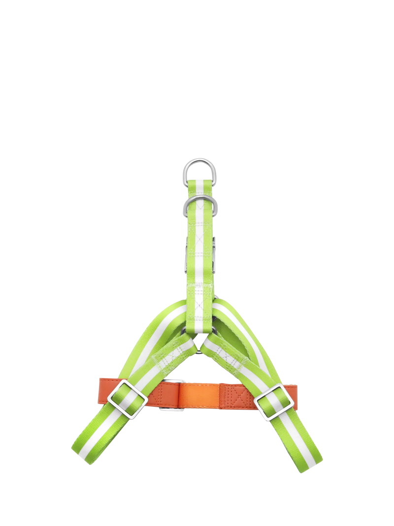 Florence By Mills AppleSkin Leather Dog Harness Green - British product