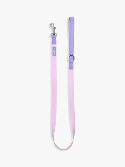 Laisse pour chien Colour Block avec ruban en nylon et garniture en cuir de pomme, rose et violet