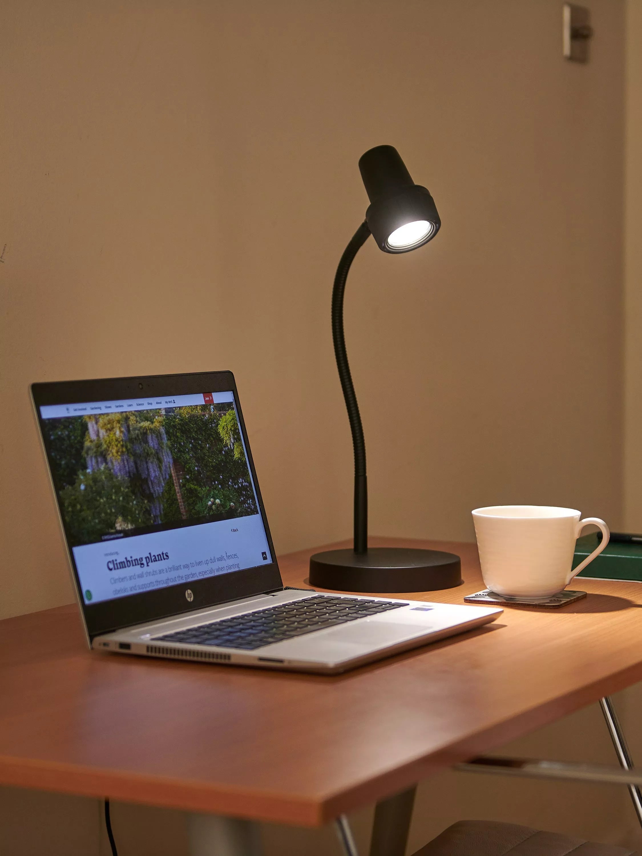 Serious Readers Compact Cordless Light Black, UK version