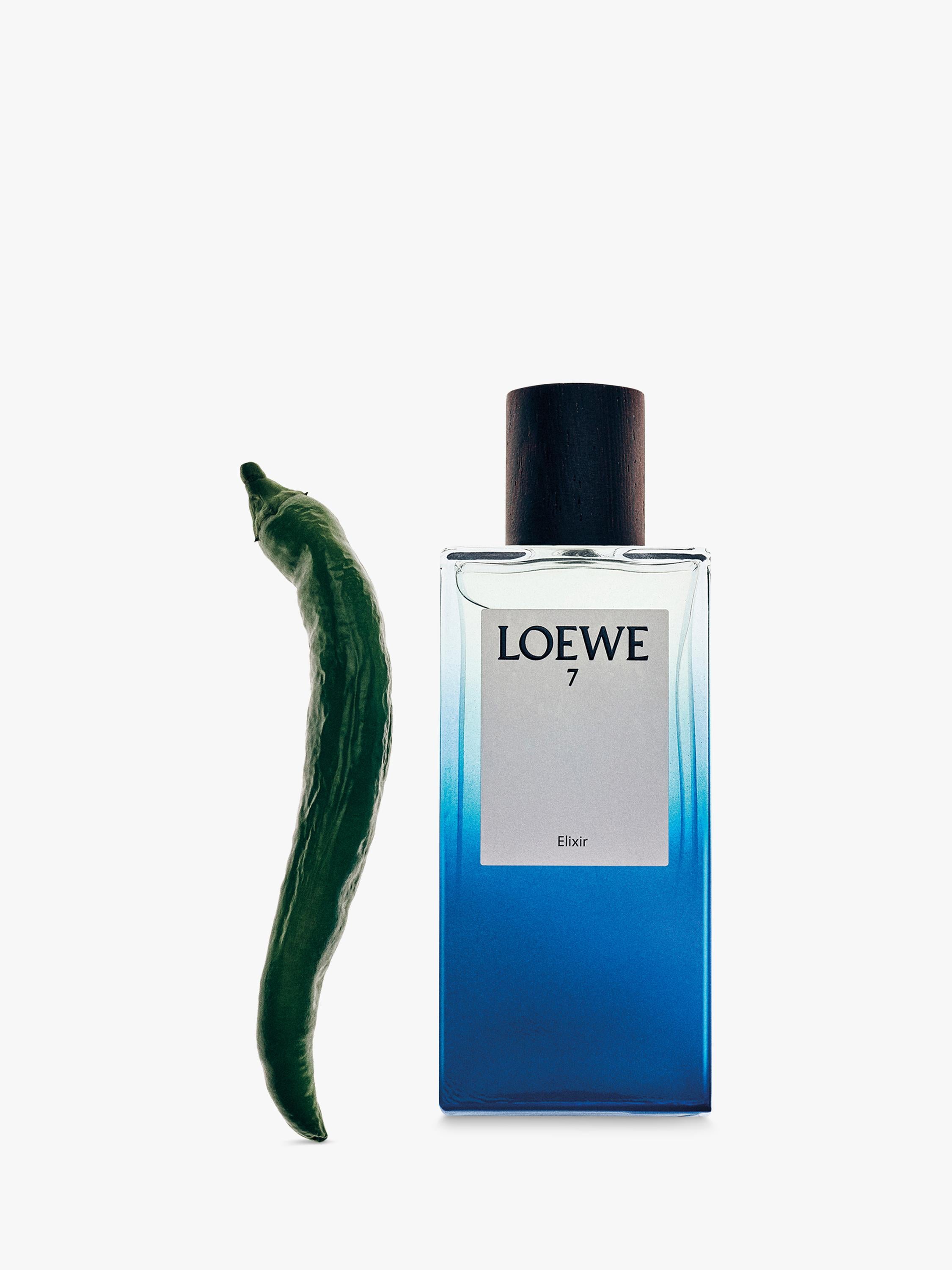 LOEWE 7 Elixir Eau de Parfum 50ml - Britisches Produkt