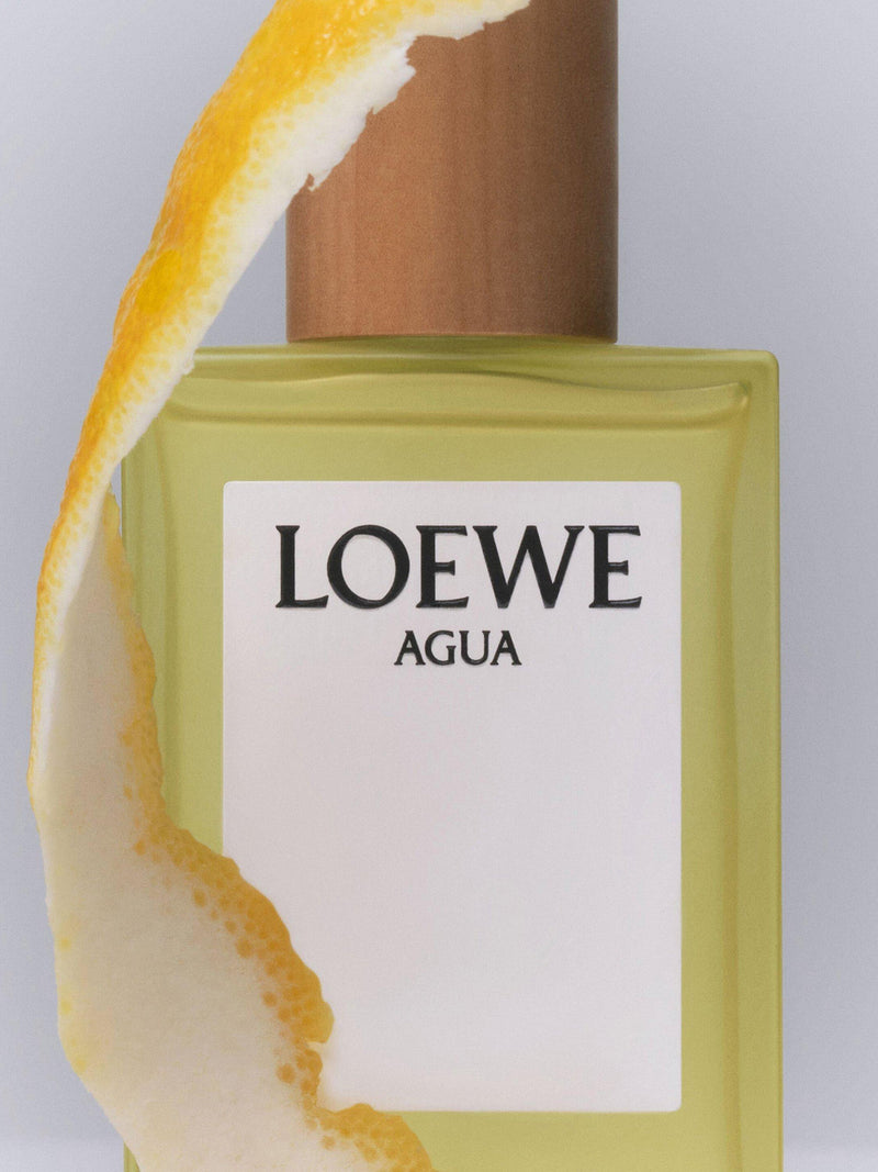 LOEWE Agua Eau de Toilette 100ml, UK version