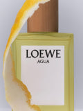 LOEWE Agua Eau de Toilette 100ml, UK version