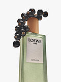 LOEWE Aire Sutileza Eau de Toilette 100ml, UK version
