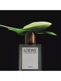 Loewe Debod eau de parfum 100ml, imported from the UK