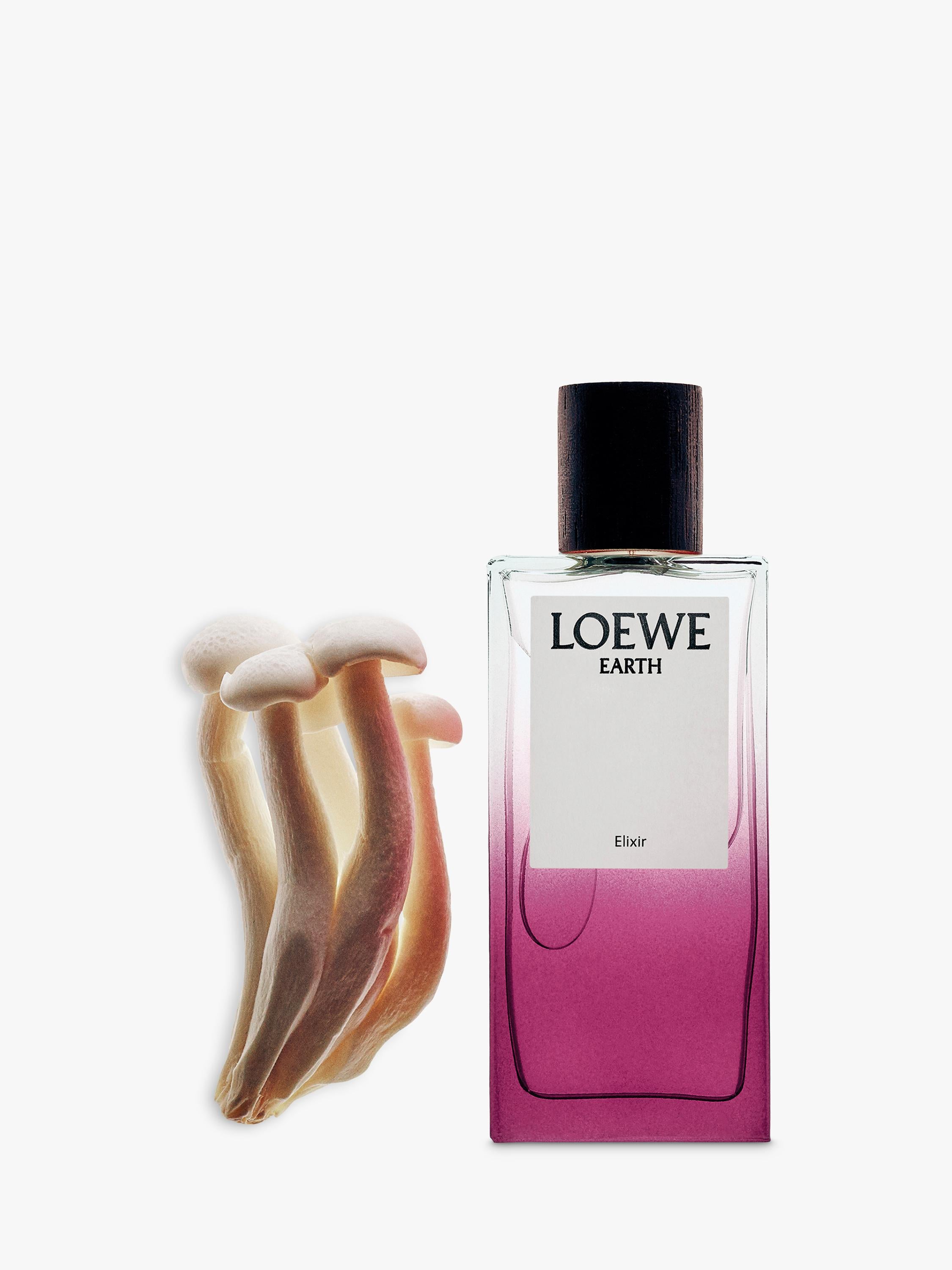 LOEWE Earth Elixir Eau de Parfum 100ml, UK-Version