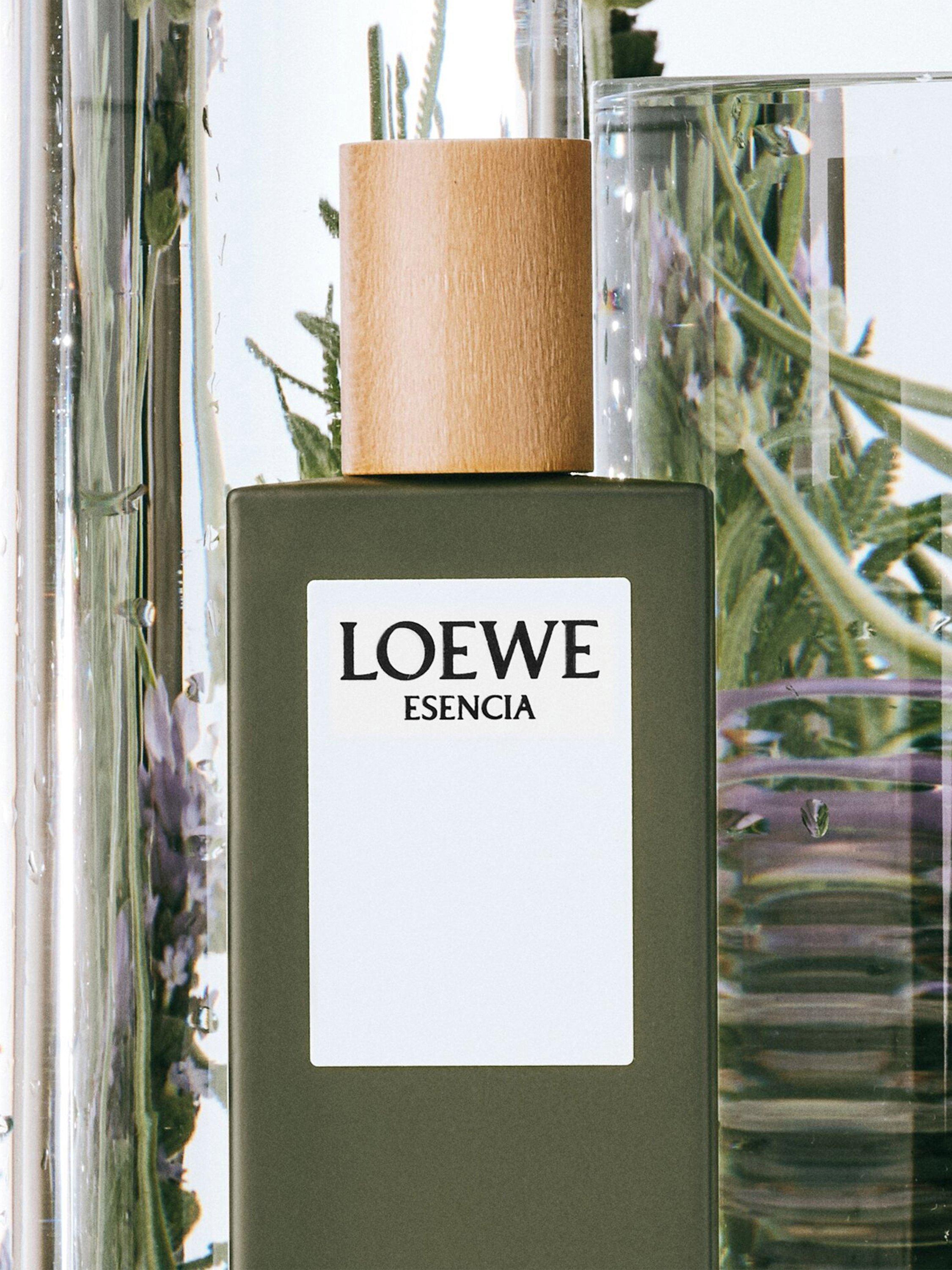 LOEWE Esencia Eau de Toilette 100ml, UK version