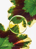 LOEWE Esencia Elixir Eau de Parfum Pour Homme, UK version