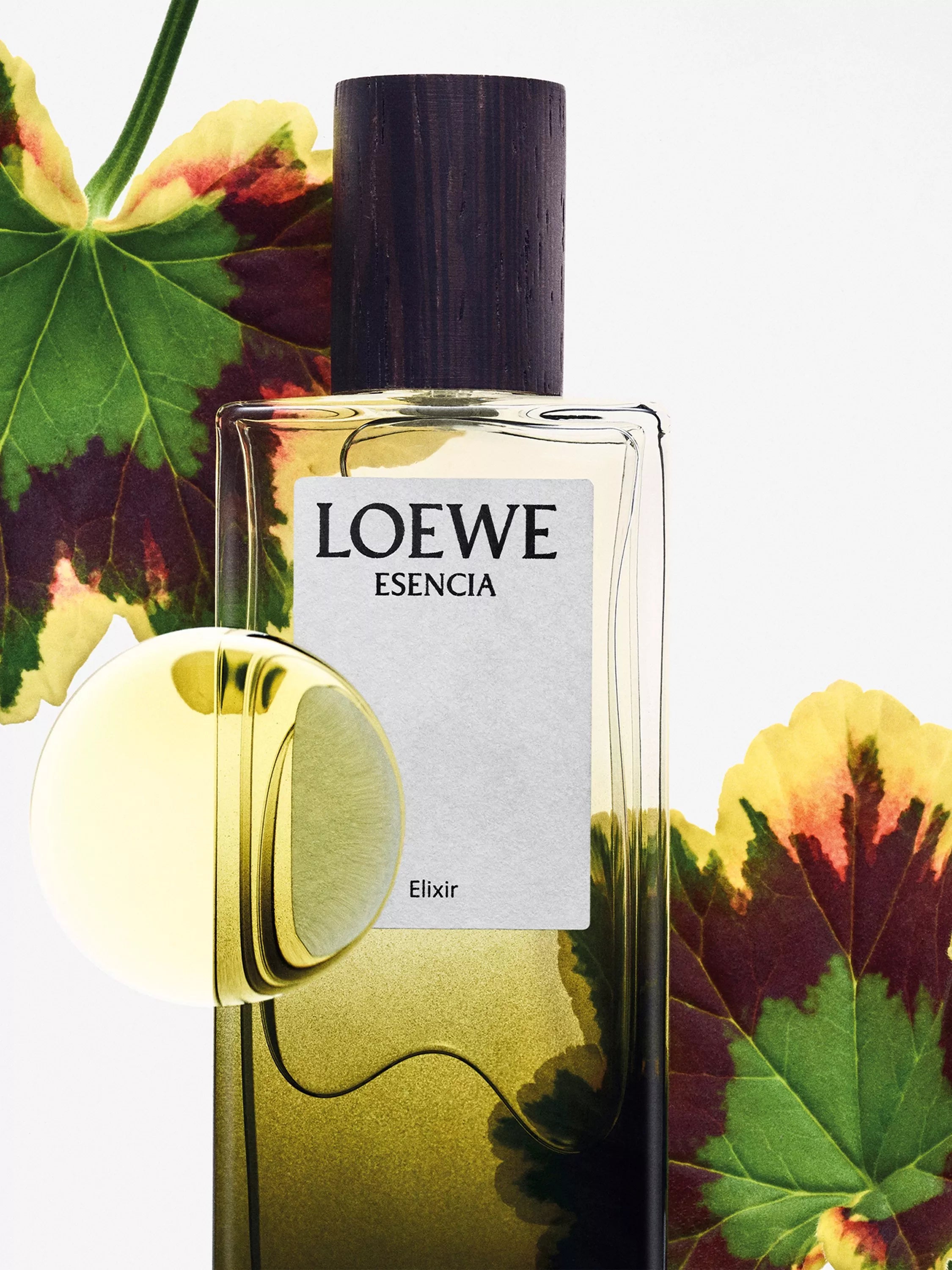 LOEWE Esencia Elixir Eau de Parfum Pour Homme, UK version