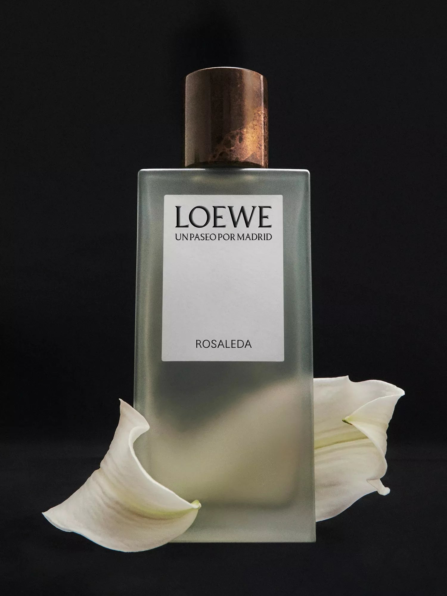 Loewe Rosaleda Eau de Parfum 100ml, imported from the UK
