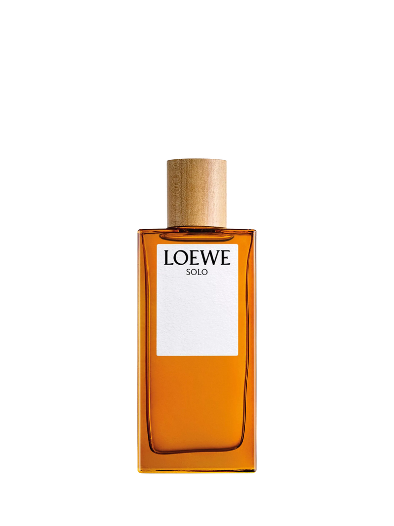 LOEWE Solo Eau de Toilette 100ml (British brand)