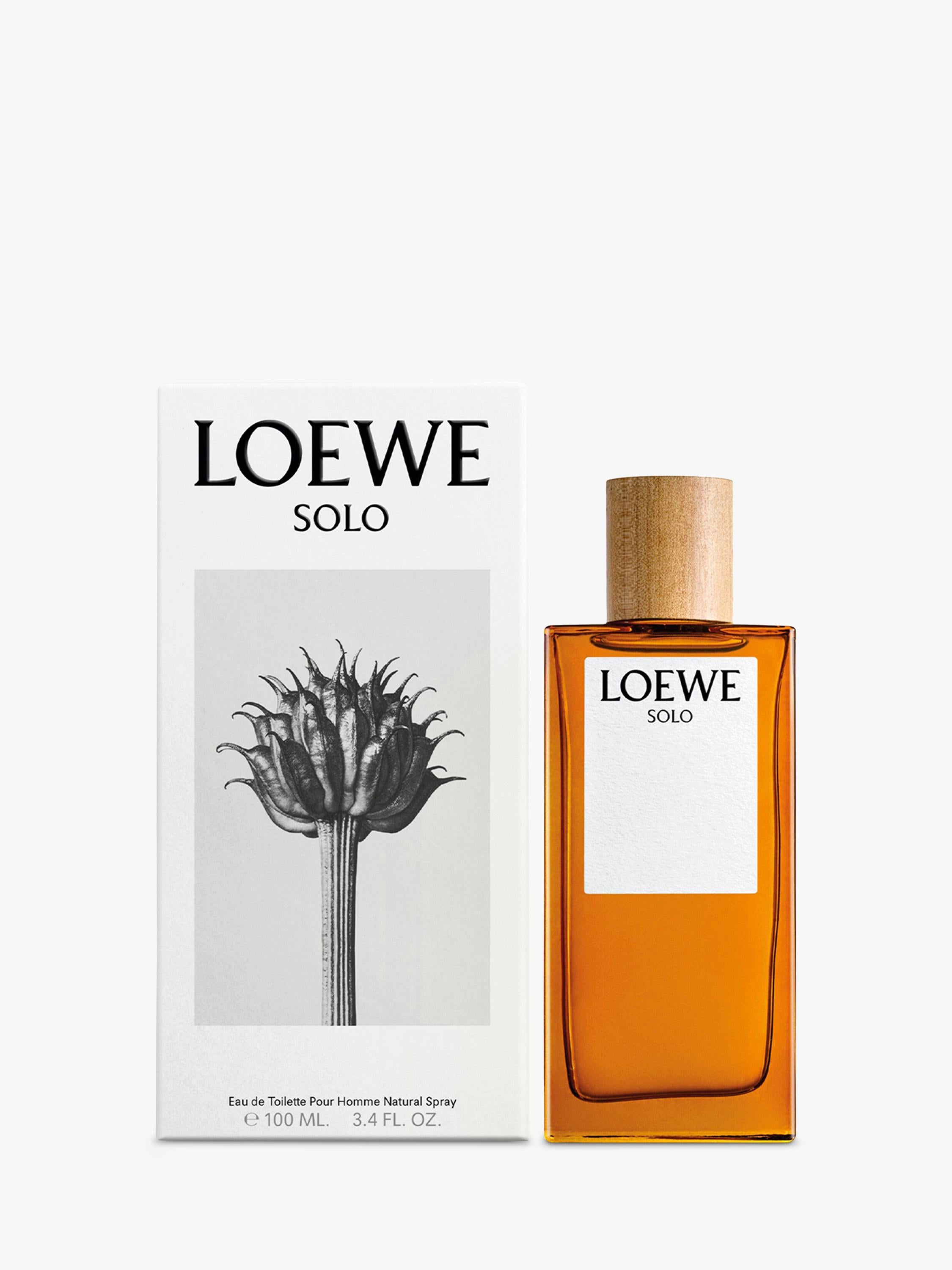 LOEWE Solo Eau de Toilette 100ml (British brand)