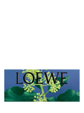 LOEWE Ivy solid soap 290g bar, imported from the UK