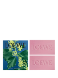 LOEWE Solid Soap Duo Set Ivy 250g - British product