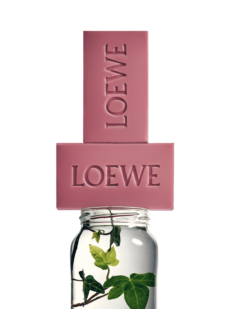 LOEWE Solid Soap Duo Set Ivy 250g - British product