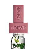 LOEWE Solid Soap Duo Set Ivy 250g - British product